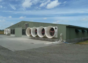 Poulailler et enclos en acier moderne de style industriel pour fermes urbaines/rurales, utilisation en extérieur et en milieu hospitalier - Product Image 2