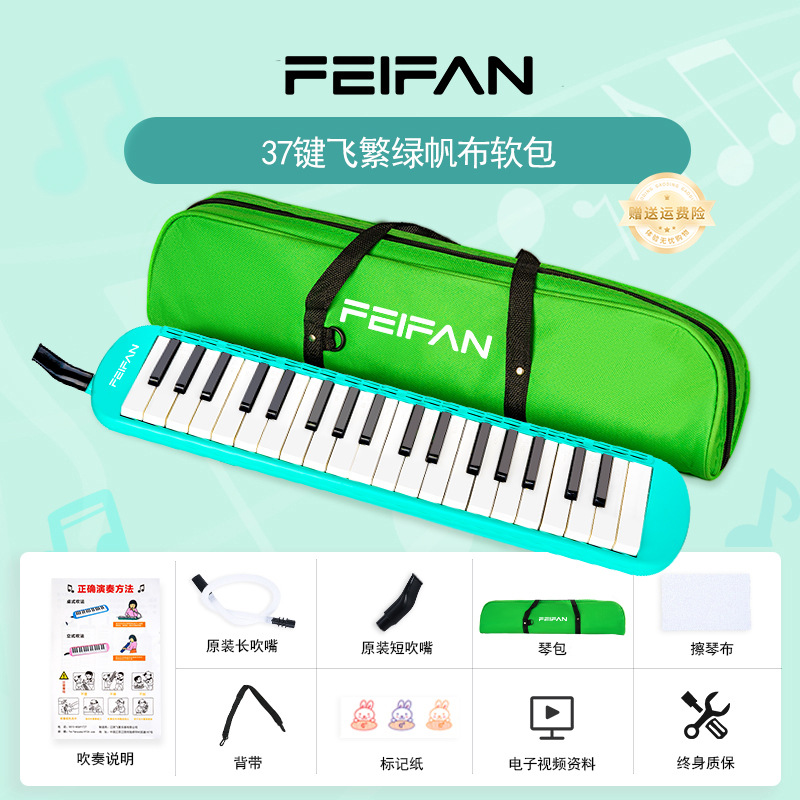 Modèle de base soft-pack vert 37 touches