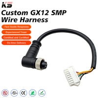 Kabel Harness Kustom Frekuensi Tinggi Gx12 Smp, Kabel Daya Tegangan Rendah Dengan Kontak Berlapis Emas untuk Sistem Kontrol Instrumentasi
