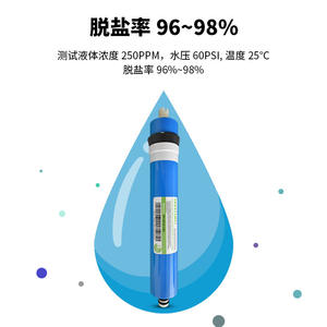 Cartucho de Filtro Purificador de Agua con Membrana RO THROTIMES 30 Era, Sistema de Ósmosis Inversa de 100G para Uso Doméstico Walton - Product Image 2