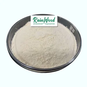 Rainwood бесплатный образец подсолнуха лецитин по низкой цене высококачественный лецитин для медицинских добавок