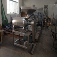 Automatische mangopulp productielijn 2026 met pasteurisator, 304 roestvrij staal, capaciteit 3-8T/u