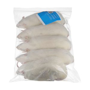 Ratón Entero Deshidratado Estándar de Fabricación para Exportación a Granel para Dieta de Serpientes, Halcones, Águilas y Lagartos - Product Image 1