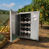 Multifruit droogmachine warmtepomp dehydrator voor de productie van fruitchips