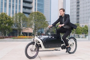 <span class=keywords><strong>Tricycle</strong></span> électrique en alliage de zinc, modèle, avec freins à disque avant et arrière, bicyclette motorisée, prix moins cher - Product Image 4