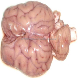 Frozen lamb brain for sale - Product Image 1