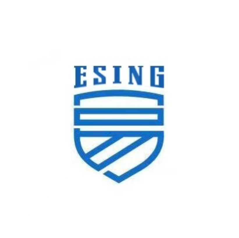 Guangzhou Esing Outdoor Products Co., Ltd.. logo