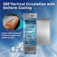 Congélateur vertical en acier inoxydable Réfrigérateur vertical de l'industrie Congélateur commercial en acier inoxydable à portée de 23 pi cu