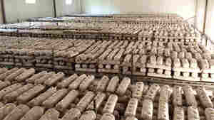 Nấm Chất nền Túi tự động khử trùng nồi hấp buồng cho nấm - Product Image 6