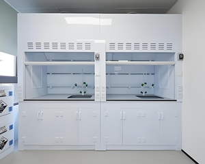 Equipamento de Laboratório de Alta Qualidade e Baixo Preço, Capô de Fumaça à Prova de Explosão Química com Duto - Product Image 5