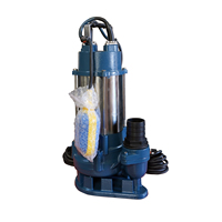 Pompe submersible de drainage pour eaux usées, haute pression, monophasée, pour eaux boueuses, OEM 2 pouces