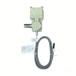 WTY-205 Gasdruck-Thermometer mit Analoganzeige, Heißwiderstandssignal-Ausgang, Nanyang Huaye Zhang Heng - Product Image 3