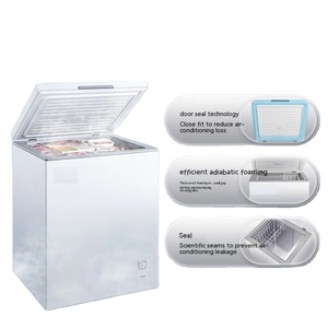 Équipement de réfrigération de congélateur de <span class=keywords><strong>coffre</strong></span> de crème glacée commerciale de FRZR-<span class=keywords><strong>100L</strong></span> de congélateur d'apparence simple avec le nouveau design - Product Image 6