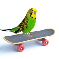 Jouets de puzzle pour l'entraînement des perroquets, à placer sous les pattes des perroquets de grande, moyenne et petite taille, pour le masticage, MINI SKATEBOARD Skates and Skati
