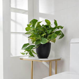 BRICE Vasi Moderni in Plastica PP Mini con Sistema di Auto-Irrigazione per Erbe <span class=keywords><strong>e</strong></span> Piante Succulente, per Interni, Soggiorno <span class=keywords><strong>e</strong></span> Giardino - Product Image 4