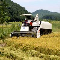 Moissonneuse-batteuse à riz Wishope 100Hp, machine multifonctionnelle pour la récolte complète du riz