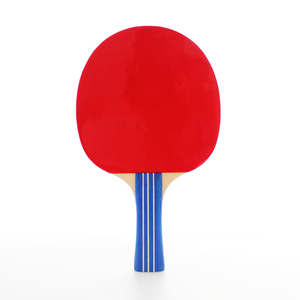 Juego al aire libre de alta calidad, gran venta, bonito diseño, espinillas de doble cara, juego de raqueta de tenis de mesa - Product Image 4