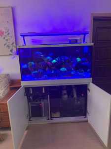 홍해 최대 S 400/500/650 시리즈 다기능 리프 수족관 거실에 대 한 현대 직사각형 유리 해양 수족관 - Product Image 4