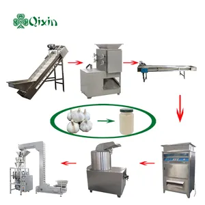 Garlic clove crusher Mashed Garlic Equipment production line garlic paste maker machine