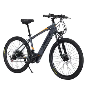 จักรยานไฟฟ้าสำหรับผู้ชายจักรยานไฟฟ้า36V48V 250W350W500W1000W