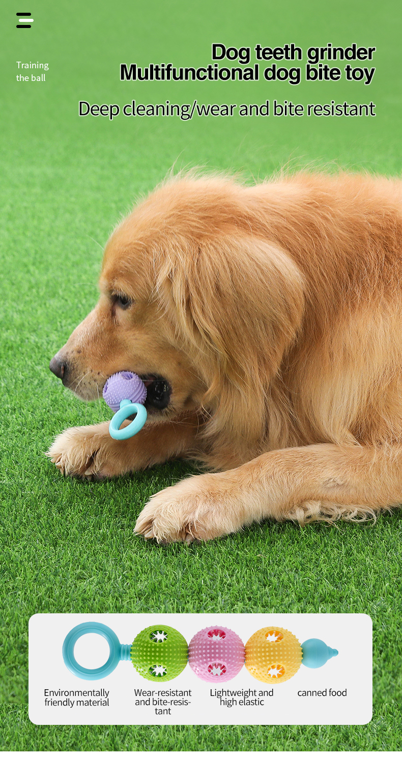 Hot Selling Pets Toys Molar Ball Deep Cleaning Of Teeth Massage Gums Bite Resistant Safety Toy For Dog