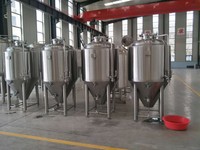 Cuve de Fermentation en Acier Inoxydable 500L – Équipement de Brassage de Bière pour Brasserie