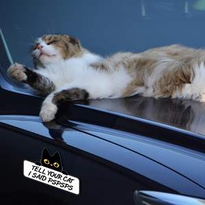 Imán Divertido para Parachoques de Coche con Diseño de Gato Negro, Frase Divertida PSPSPS, Adhesivo para Coche, el Más Popular de Amazon - Product Image 5