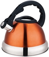 Bouilloire sifflante en acier inoxydable de 3 litres pour cuisinière, avec eau, pour la maison ou le camping, écologique, passe au lave-vaisselle