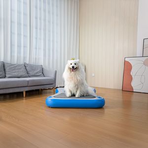 DB บันไดลอยน้ำสำหรับสุนัขแบบเป่าลมสำหรับออกกำลังกายและเล่น - Product Image 1