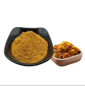 Complément alimentaire extrait de champignon Golden Tremella 30% 50% poudre de polysaccharide