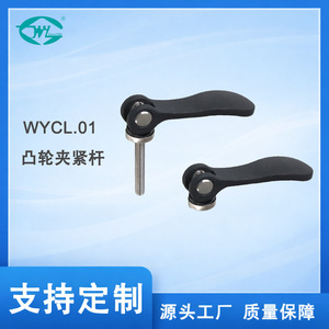 Great Cause <b>Quick</b> <b>Release</b> Cam Handle M4 M5 M6 M8 M10 Stainless Steel <b>Clamping</b> Rod For Fixing And Holding Applications - Product Image 5