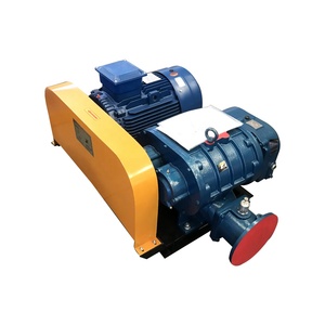 Têtes de souffleurs à lobes électriques haute pression à moteur AC pour les stations <span class=keywords><strong>d</strong></span>'épuration côtières australiennes, résistantes à la corrosion et conçues pour l'humidité salée - Product Image 5