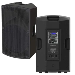 Profession eller Audio-Lautsprecher 15-Zoll-Aktivplastiklautsprecher 300-W-Klasse-D-Verstärker DSP-Bluetooth-Lautsprecher
