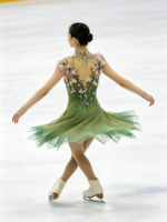Robe de patinage artistique à col montant et manches longues, dégradé vert, ornée de fleurs 3D et de strass appliqués à la main, pour la compétition et les spectacles