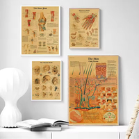 Anatomie humaine colonne vertébrale squelette affiche médicale murale intérieur maison décorative Art impression toile mur Art pour genou articulation pied