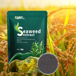 Harina de Ascophyllum Nodosum con NPK 18%, Bioestimulante en Polvo Negro para el Desarrollo de Raíces y Frutos - Product Image 1
