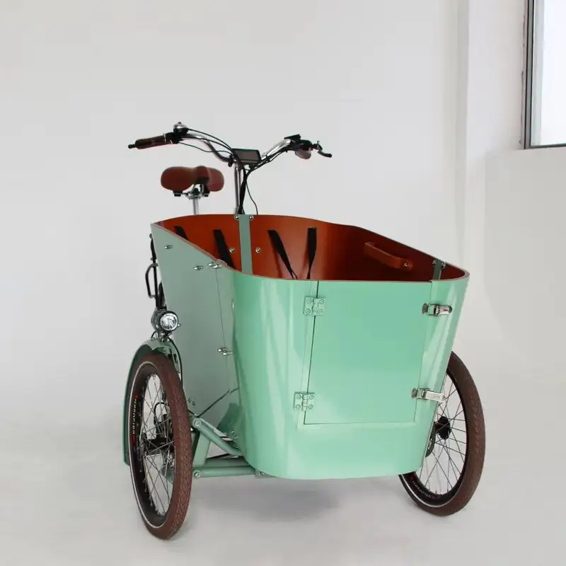 Dispositivo di bilanciamento dell'oscillazione bici da carico elettrica da 26 pollici/bakfiets/cargobike Nexus 3 velocità bici da carico elettrica elettrica