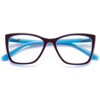 Monture de lunettes optiques Elan Optical RD26060, style œil de chat classique, très vendue, monture intégrale en acétate pour femmes, lunettes optiques, livraison directe d'usine