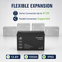 Batterie LiFePO4 LFP CFE-1280 SE 12,8V 100Ah avec BMS IP65, 3000 cycles, pour onduleur Victron Energy, solaire, hors réseau