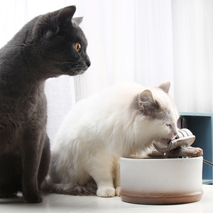 Bebedero de Agua para Gatos de Cerámica, Redondo, con Circulación Automática, Suministros Eléctricos para Mascotas - Product Image 3