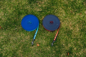 Conjunto de Collar y Correa Táctica Personalizada para Perro, Arnés de Tracción Impermeable, Correa Duradera para Correr - Product Image 6