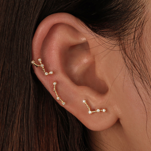 Dylam Capricorn boucles d'<span class=keywords><strong>oreilles</strong></span> Zircon 925 argent boucles d'<span class=keywords><strong>oreilles</strong></span> pour fête noël goujons cadeau - Product Image 2