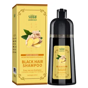 Wholesale Manufacturer New Brand Herbal Care Hair 500ml Permanent Ammonia Free Fast Black Herbal Hair Dye Color Shampoo