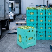 Boîte d'emballage en polypropylène ondulé personnalisée empilable pour okra, résistante aux basses températures, en gros