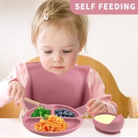 Custom 100% BPA-Free Silicone Suction Bowls Plates Bib Cutlery Spoon Set Kids Baby Feeding Set