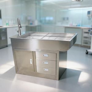 Mesa de Procedimientos Veterinarios Estable de Acero Inoxidable para Exámenes, Inyecciones, Cirugías Menores y Cuidado Diario de Animales - Product Image 1