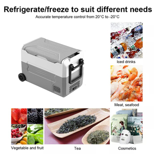 4WD Camping 45L Plastic Dual-Zone Refrigerator & Freezer for Car Use with Compressor 12V/24V - Product Image 3
