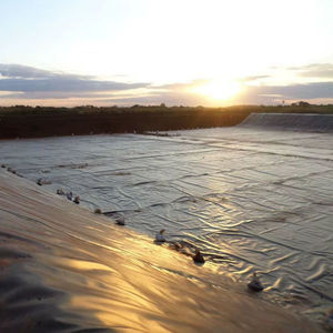 Géomembrane HDPE anti-UV noire de 0,5 mm, 0,75 mm, 1,0 mm, 1,5 mm pour bassin artificiel, étang à poissons et crevettes - Product Image 3