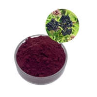 Ekstrak Bubuk Buah Elderberry Sambucus Nigra Rasio 10:1 TLC untuk Minuman Kesehatan Fungsional