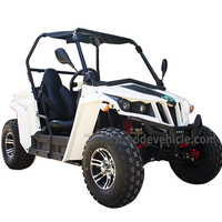 Buggy en paille à essence avec châssis 2 sièges, 2 places, deux places, latérale à côté, bon marché, vente en gros